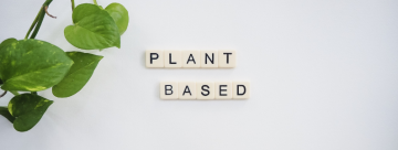Die besten vegane Nahrungsergänzungsmittel für eine ausgewogene Ernährung ohne tierische Produkte