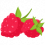 Juicy Raspberry